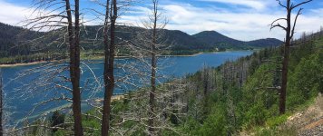 IMG_4397.jpg