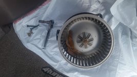 20150715_180232.jpg