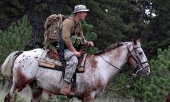 special-forces-horse-hr.jpg