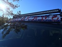 IMG_0877.jpg