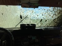 IMG_0481.jpg