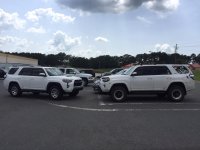 5th Gen Spotted.jpg