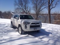 Tonka in snow.JPG