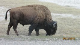 IMG_2686.jpg