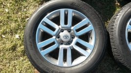 Rim 1 - sm.jpg