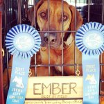 Ember 20150319 Ribbons.jpg