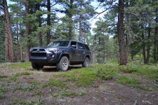 DSC_0213.jpg DSC_0213.jpg