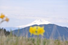 DSC_1922.jpg