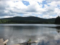 IMG_1879.jpg