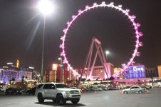 IMG_1923.jpg