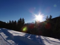 2015-01-11 16.51.35.jpg
