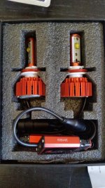 bulbs 2.jpg