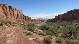 IMG_3065.jpg
