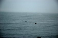 dsc_0014.jpg