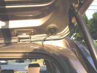 rearhatch.jpg