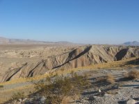 IMG_5435.jpg