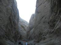 IMG_5493.jpg