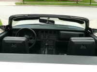 corv6.jpg