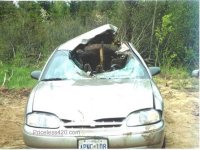pr011206moose3.jpg