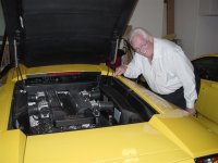 tedand murcielago (large).jpg