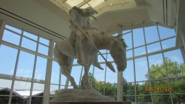 IMG_3562.jpg