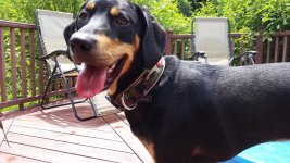 20150604_134731.jpg