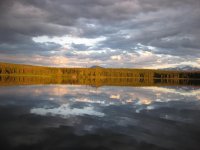 IMG_1319.jpg