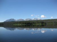 IMG_1308.jpg