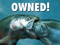 fish-owned.jpg fish-owned.jpg