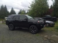 lifted runner 004.jpg