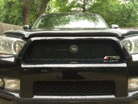 IMG_2498[1].jpg