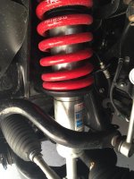 IMG_1025.jpg