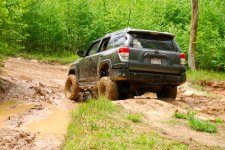 DSC_0786.jpg