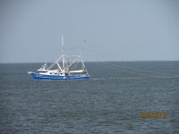 IMG_3880.jpg