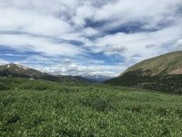 IMG_1072small.jpg