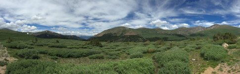 IMG_1076small.jpg