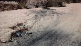 20150726_114829.jpg