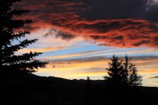 IMG_3069small.jpg