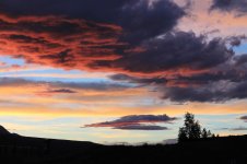 IMG_3072small.jpg