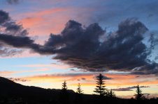 IMG_3077small.jpg