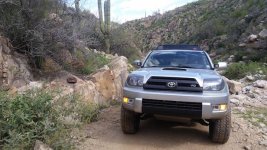front view river cactus.jpg