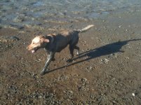 20121124_0186.jpg