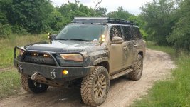 Muddy.jpg