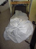 IMG_1385.jpg