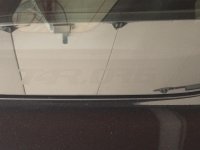IMG_0879.jpg