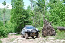 DSC_0833.jpg DSC_0833.jpg