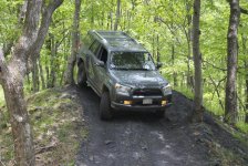 DSC_1011.jpg DSC_1011.jpg