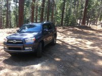 IMG_1131.jpg
