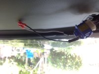 IMG_0773.JPG