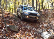 20141025 on hill.jpg